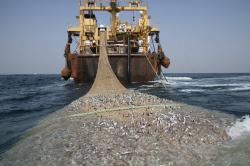 težka ribiška industrija